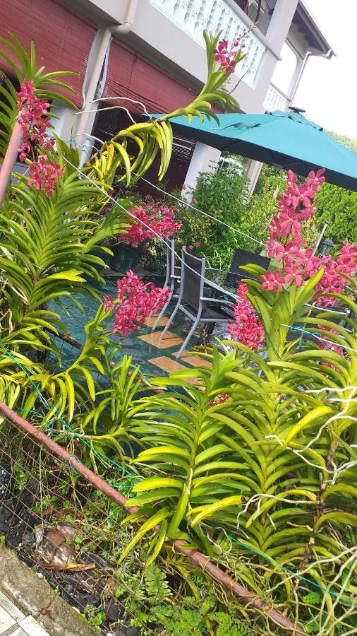 Orchid Sunset Guest House Baie Lazare  Exterior foto